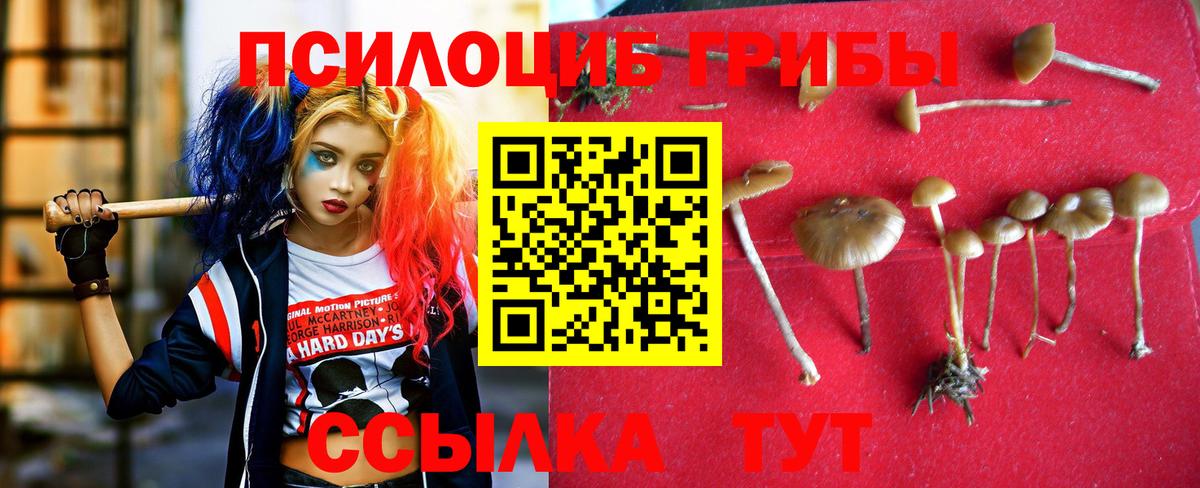 Шебекино  Галлюциногенные грибы Psilocybine cubensis  где найти наркотики  Вход с VPN  Псилоцибиновые грибы Magic Shrooms 