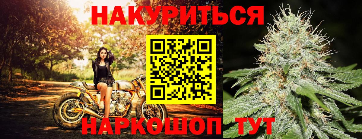 Бошки марихуана план Шебекино